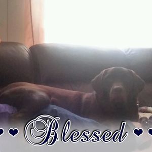 Meet your Posher, Vicky